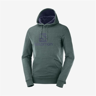 Pánské Mezivrstvy Salomon SHIFT HOODIE M Zelene | CZ-39024DM